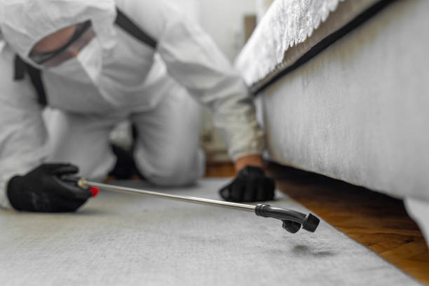 Professional Bed Bug Control technician working in Greenville, MI