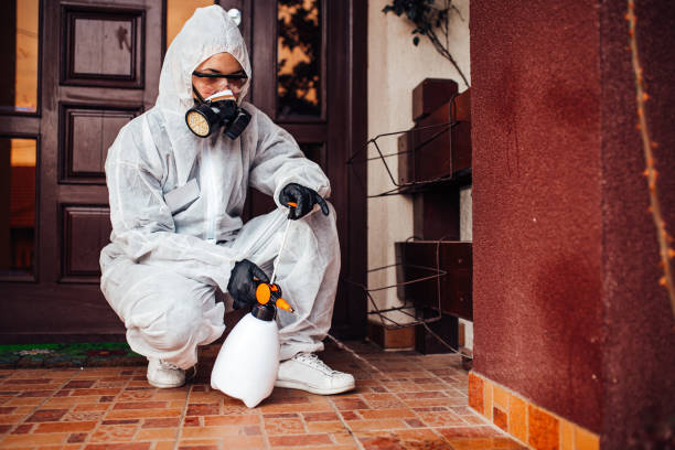 Reliable Bed Bug Control contractor in Greenville, MI by Nex Pest Control