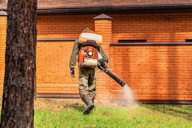Top rated local Bed Bug Control specialists in Greenville, MI